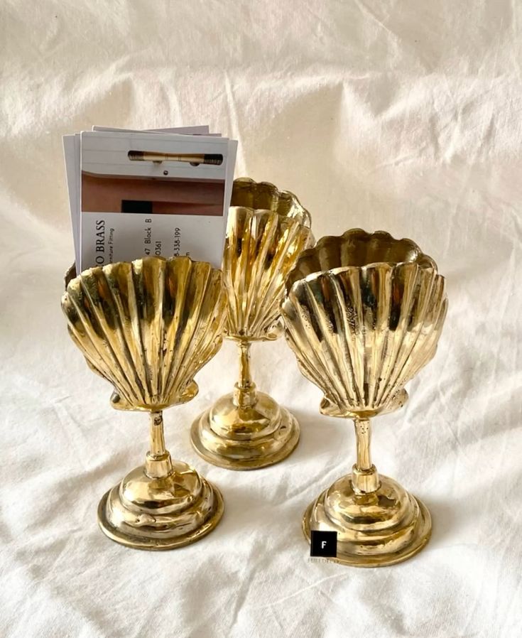 Accès exclusif membre